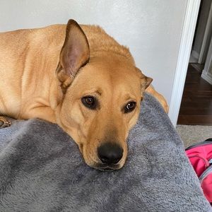 Meet your Posher, Ashlyn